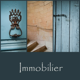 sevcik moliere-sambron